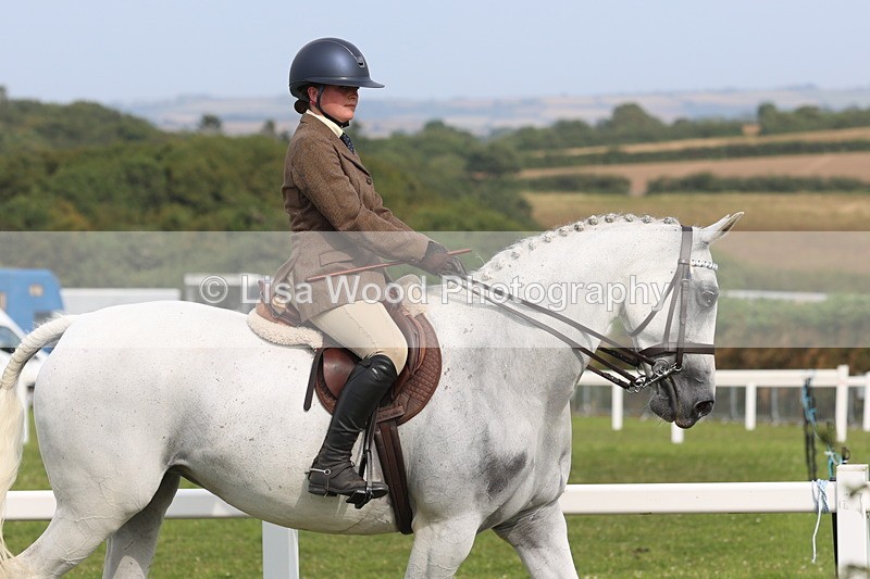 JPP_4225 - Class 25: Working Show Horse