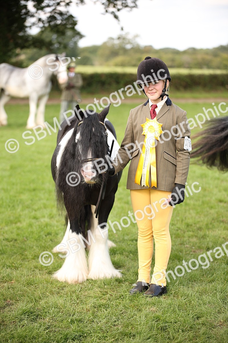 SBM_62314 - S55 - Traditional Cob In Hand