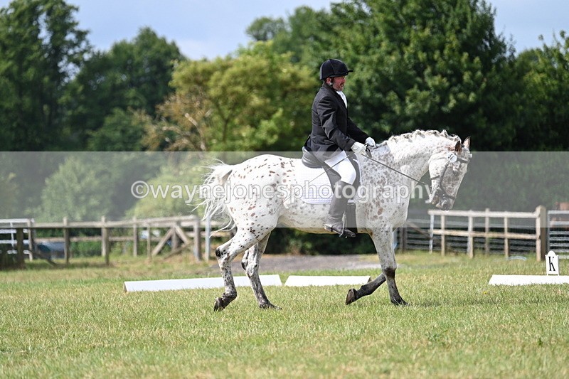 WJ7_2285 - Time 09:24 to 09:49