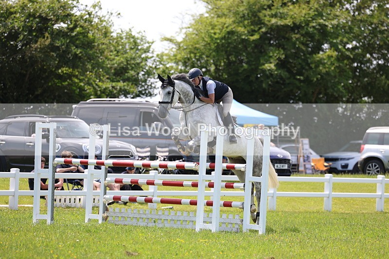 3E7A1338 - Class 12: Senior Foxhunter/1.20 open