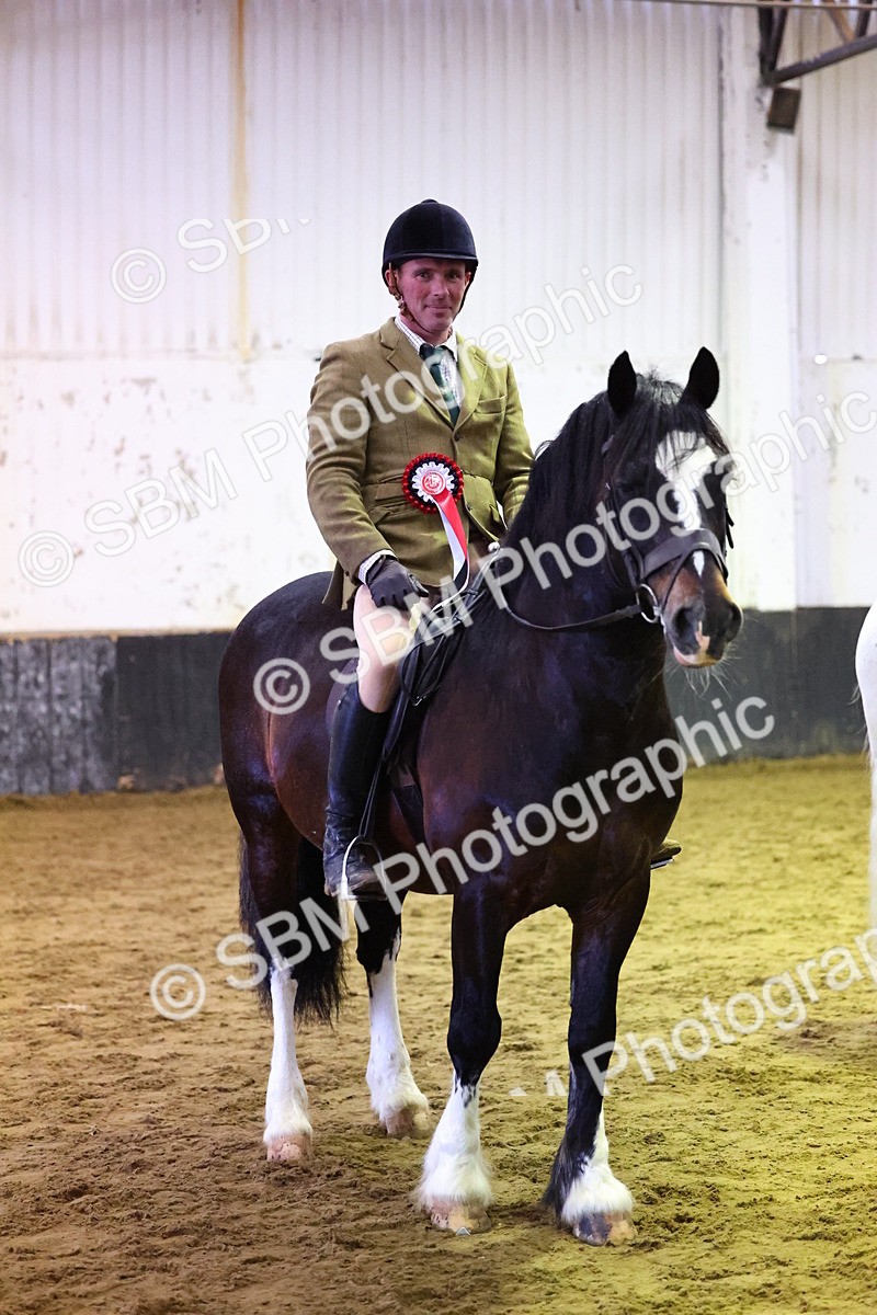 SBM_006641 - Class 43 - RIHS Qualifier Exceeding 43cms