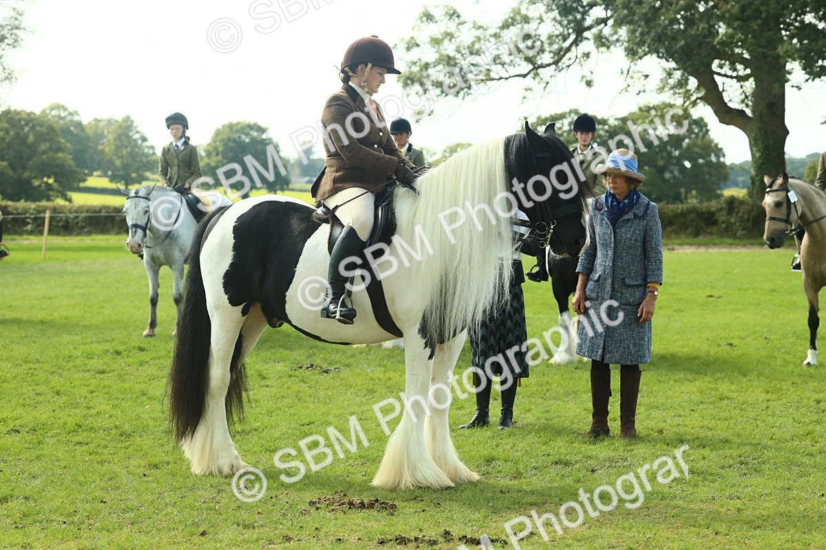 SBM_67670 - S56 - Coloured Pony Ridden