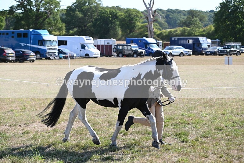 WJ6_7510 - Class 34 Judges Choice