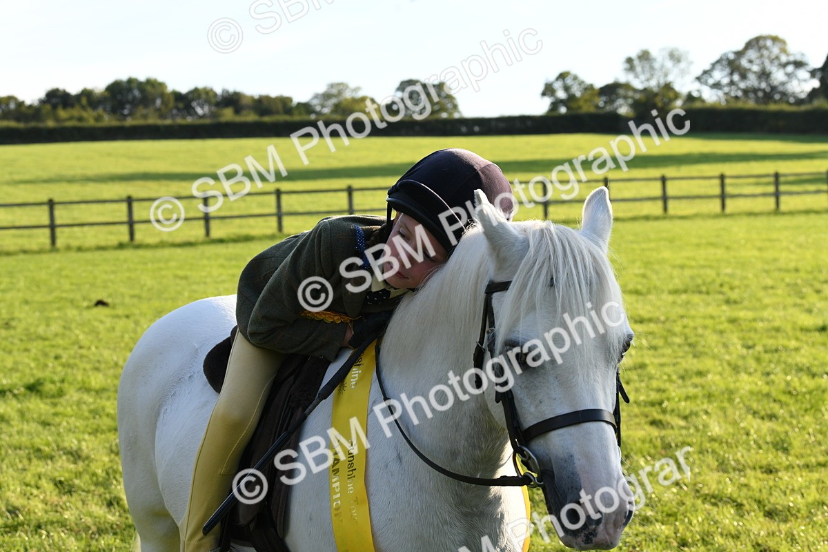 SBM_54160 - S23 - 1st Ridden Mountain & Moorland Pony
