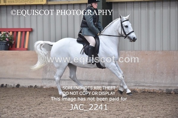 JAC_2241 - CLASS 2 Novice Working Hunter