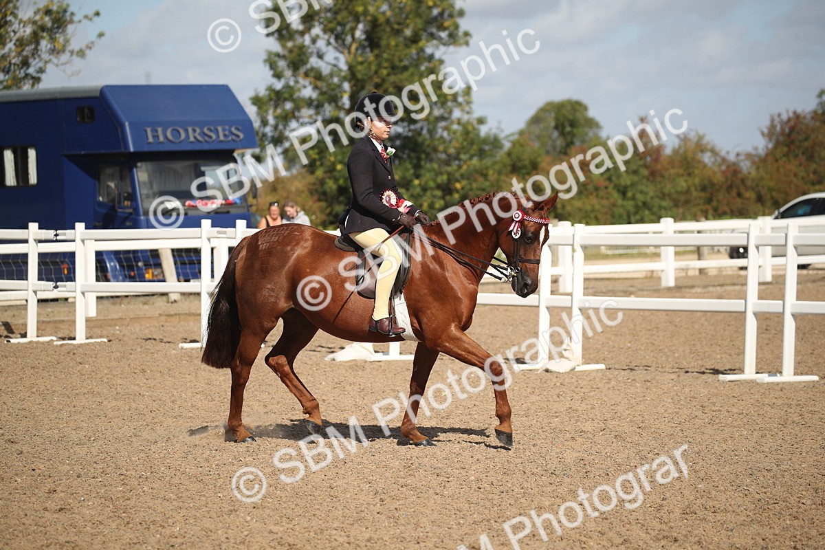 SBM_23004 - Class 603 - 2026 - Ridden Pre Vet