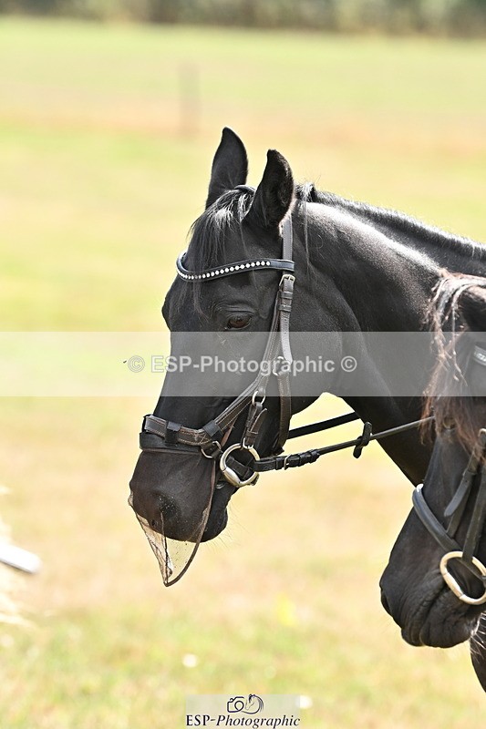 250821B-104639-00164 - Group B - Danielle