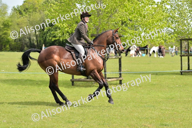 20260426-3676 - Class 22 - Working Hunter