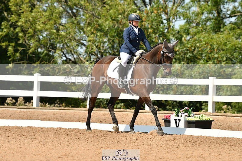 250817-133851-10009 - 033-Frankie.TorodeFirst.Impression.VI