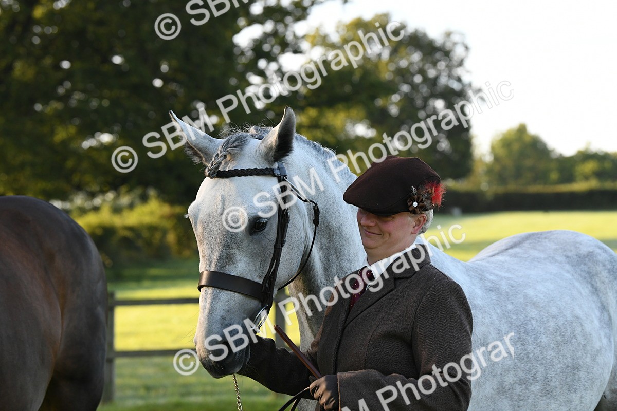 SBM_32626 - S15 - Condition & Turnout In Hand