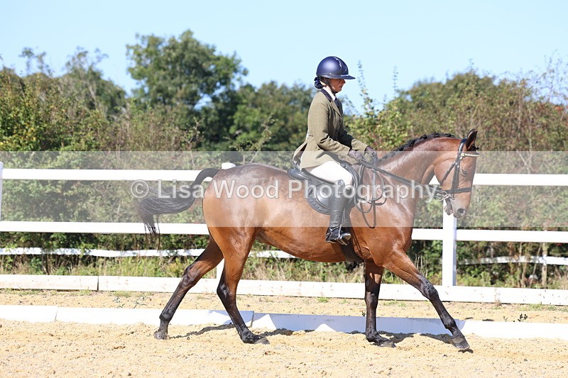 3E7A5715 - Class 10: Riding Horse