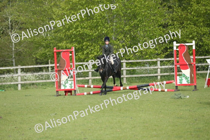 20260426-0002 - Class 13 - Rookie Jumping 50cm