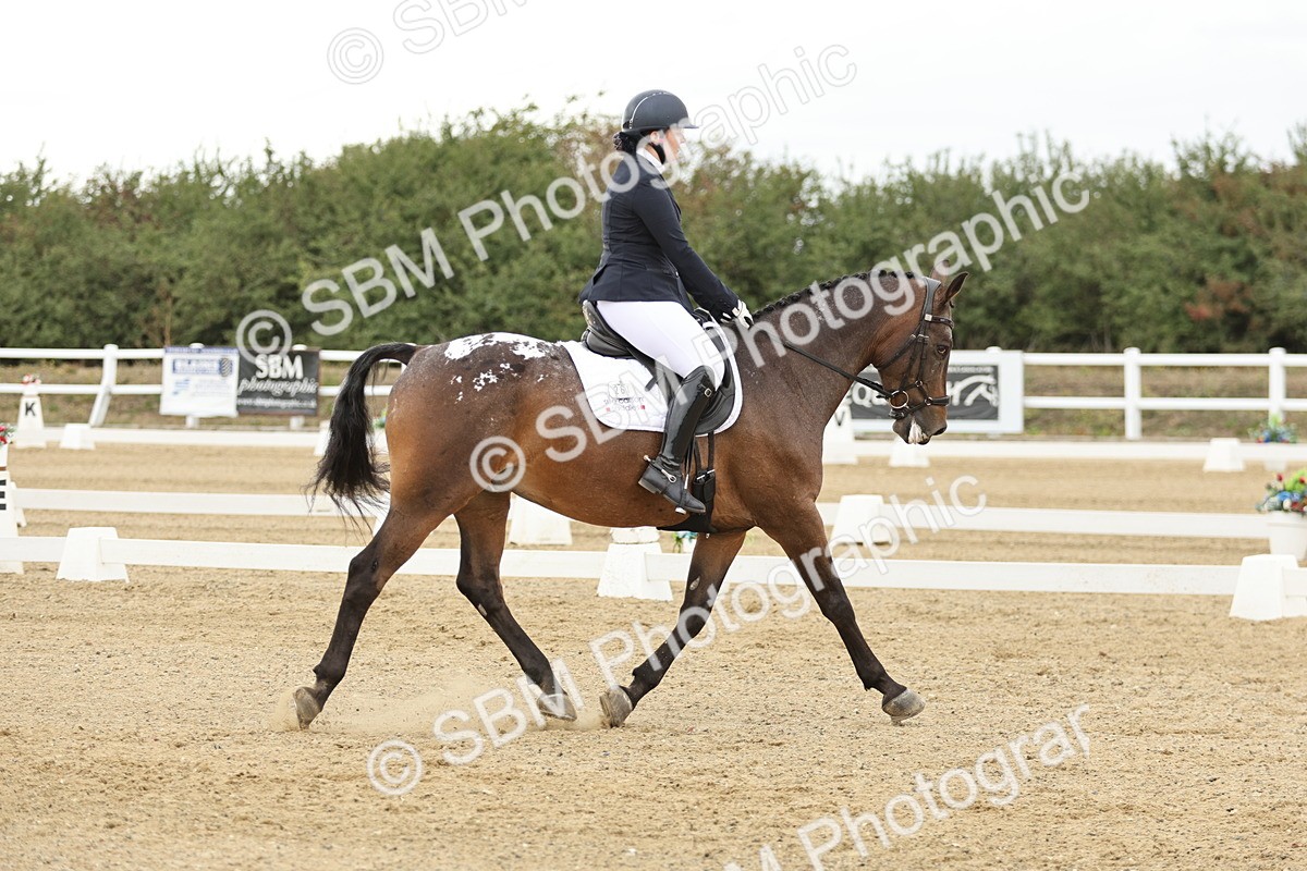 SBM_007005 - Class 21 - Medium 5 Bronze - 10.04-10.52