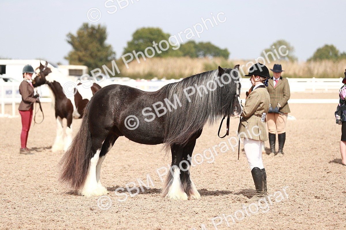 SBM_13921 - Class 209 IH Veteran Pony