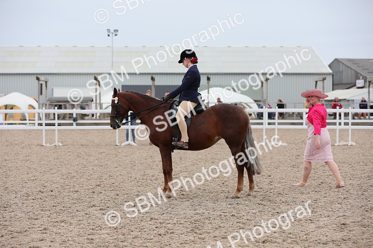 SBM_18100 - Class 316 Best Pony/Rider Combination