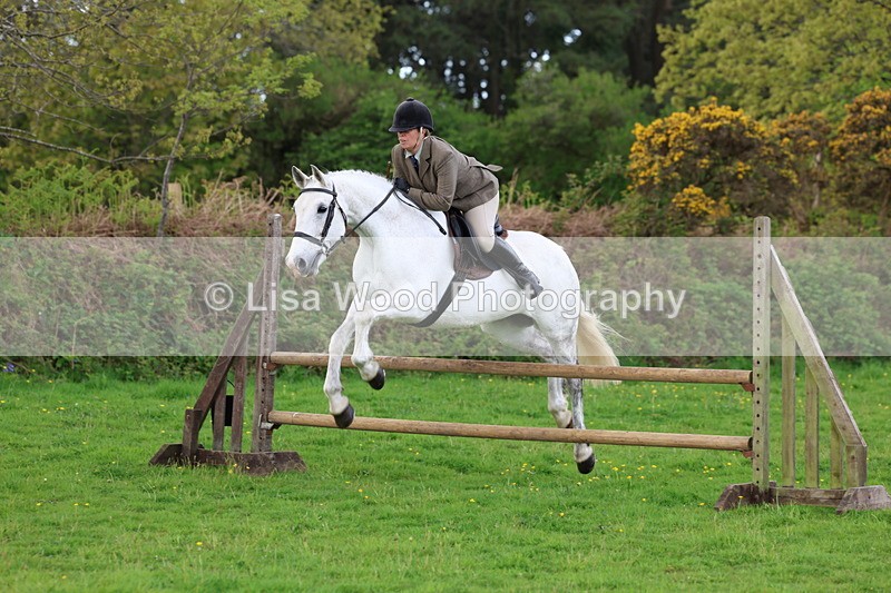 3E7A2558 - Classes 30 and 31: 80cm Working Hunter