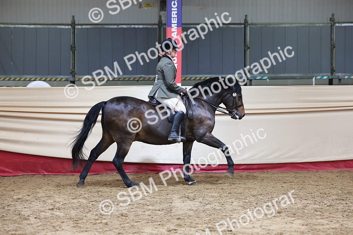 SBM_18728 - Class 952 - M&M Ridden Supreme Final