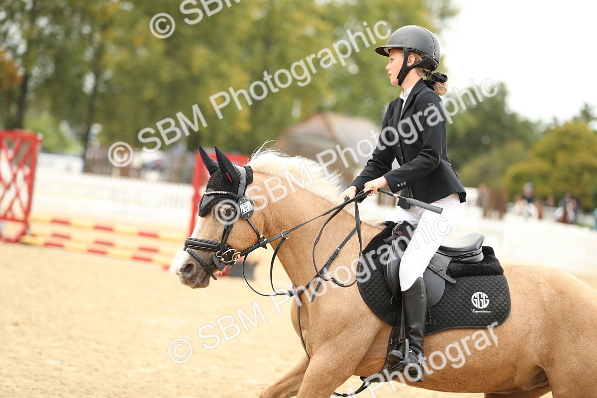 SBM_34238 - J60 Clear Round 50cm