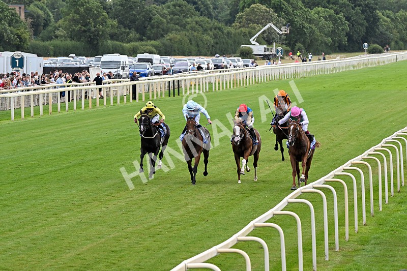 250726-Race 3-Item-0779 - Race 3 14.35pm Sky Bet York Stakes