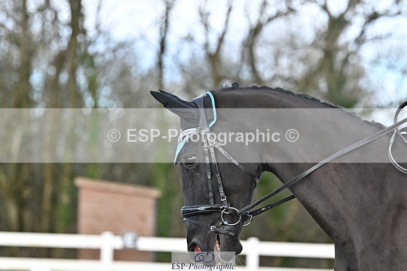 241214-115041-01466 - 131-Alys.Matravers-DARGASONS.MOON.SHADOW