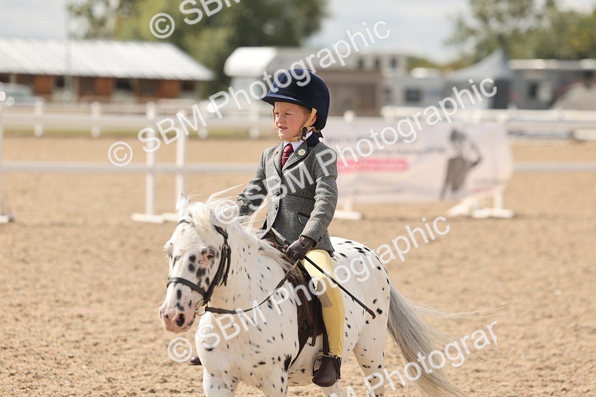 SBM_15910 - Class 310 - First Ridden Pony