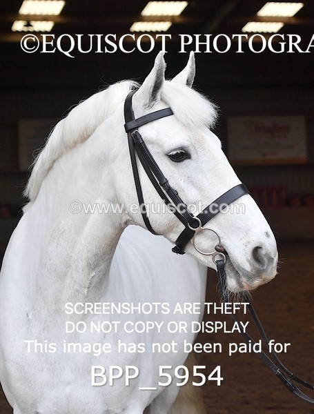 BPP_5954 - Erin Hancock ×2