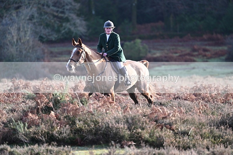 WJ7_7899 - Line 3 (no line 4 or 5)