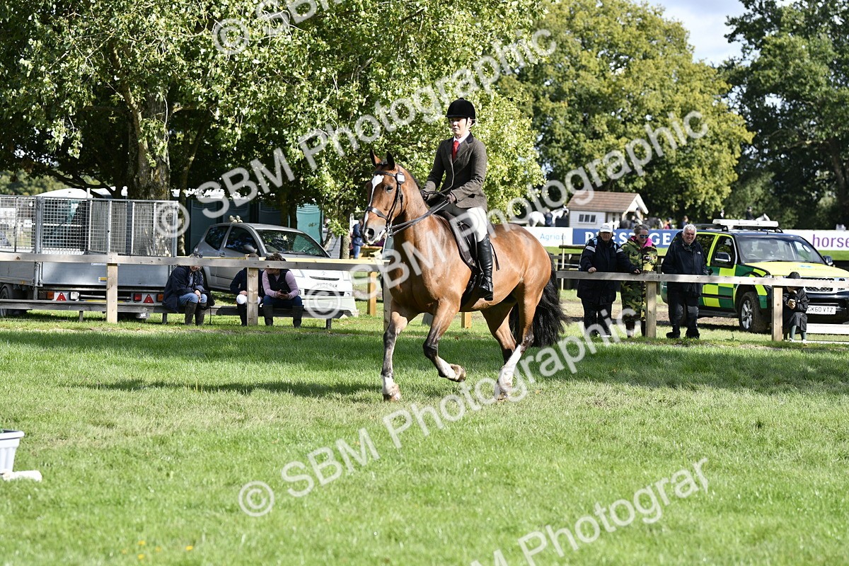 SBM_49979 - S34 - Novice & Newcomers Working Hunter