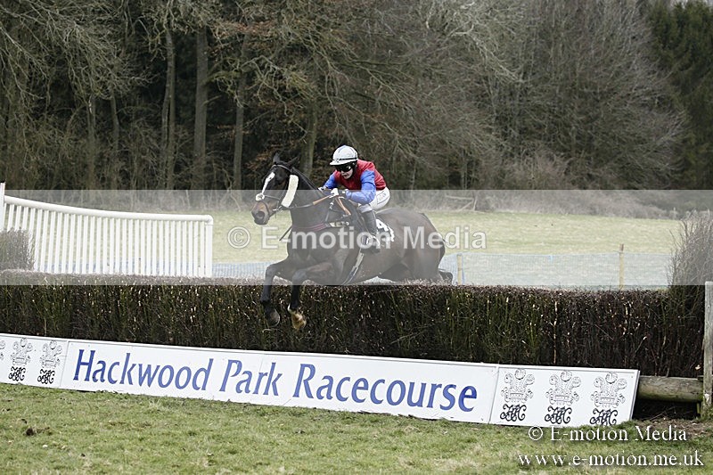 PtP 110318 158 - Hampshire Hunt Point-to-Point Hackwood Park 11/03/18