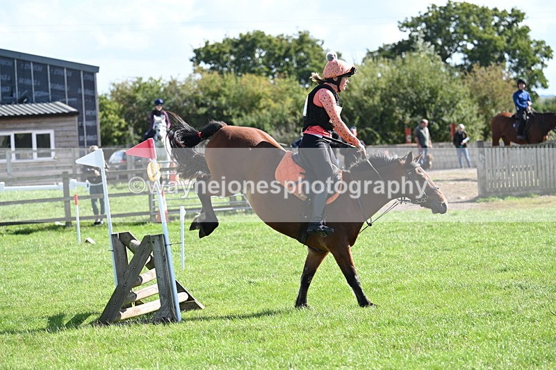 WJ7_1350 - Time 13:56 to 14:24