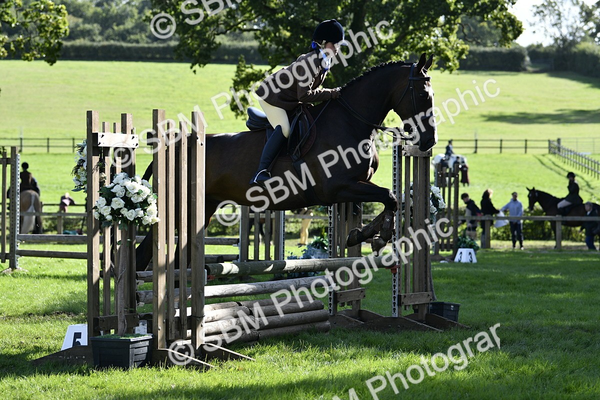 SBM_50004 - S34 - Novice & Newcomers Working Hunter
