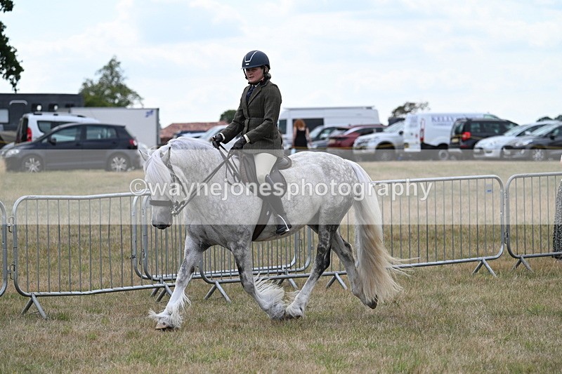 WJ7_4935 - Class 12 Ridden Cob