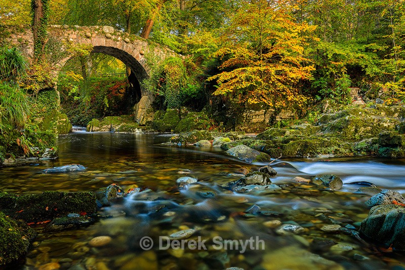 Early Autumn at Foley's Bridge - Tollymore Forest Park