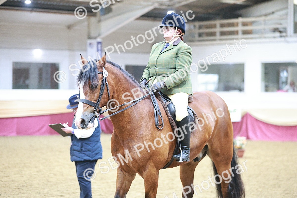 SBM_08936 - Class 12R - Regional Ridden Pre-Vet
