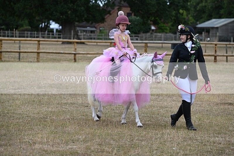 WJ6_8616 - Class 11 Fancy Dress