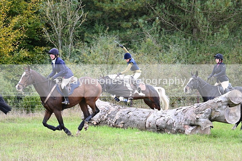 WJ7_3763 - Camera 1 Line 1