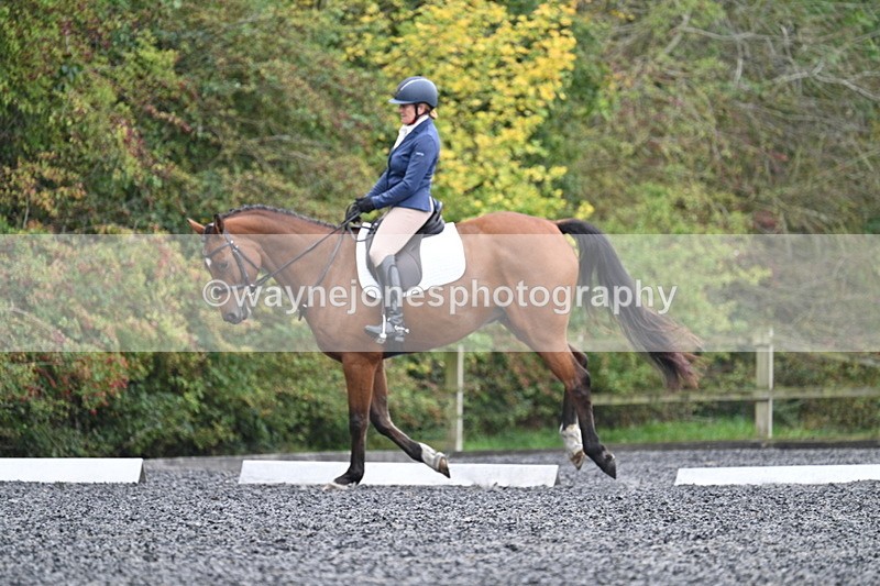 WJ7_4358 - Time 11:43 to 12:09