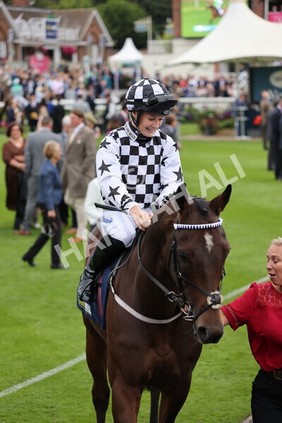 yr24092021r3-10 - Race 3 2.40pm WilliamHill.com Best Odds Guaranteed Stakes