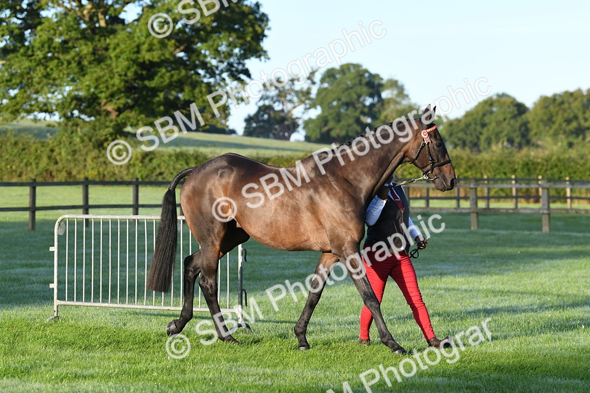 SBM_32467 - S15 - Condition & Turnout In Hand