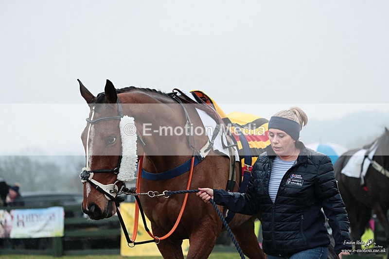 PtP 100324 508 - Pytchley with Woodland Point-to-Point Guilsborough 10/03/24