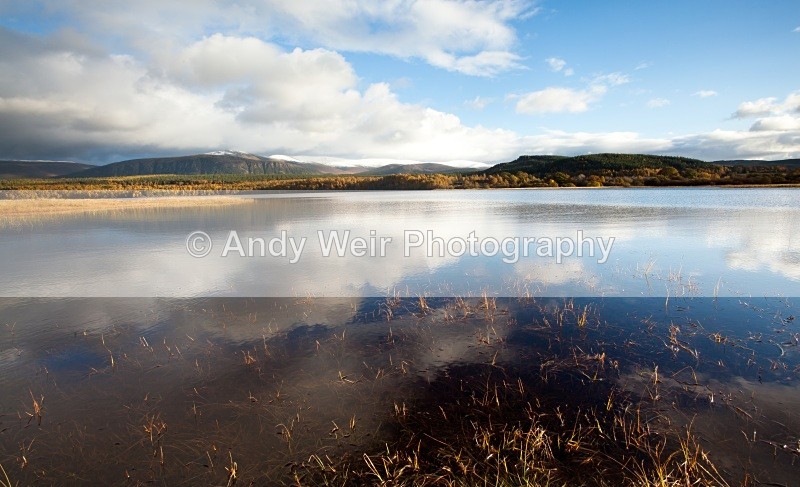 20101024-2923 - Scotland