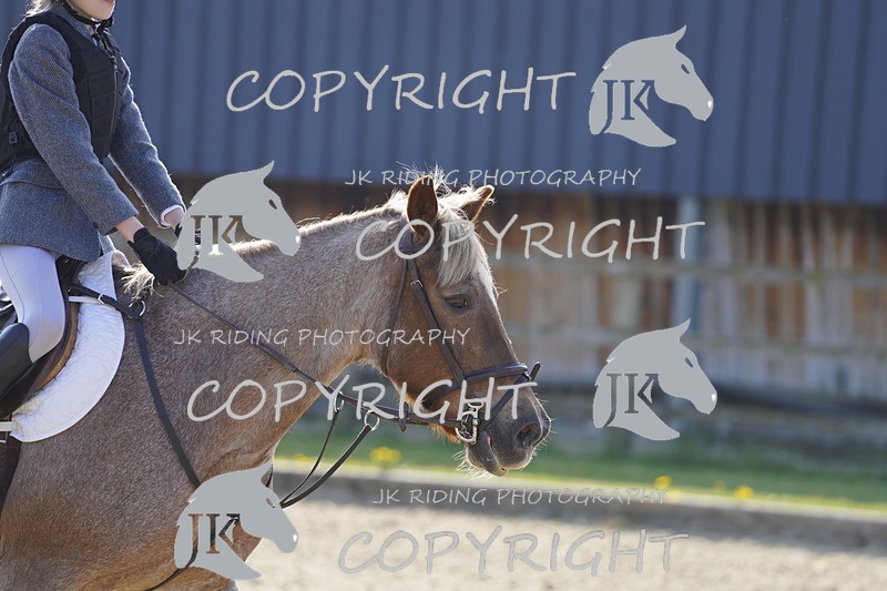 _DSC6409 - USJL Oakingham Stud 27.04.25