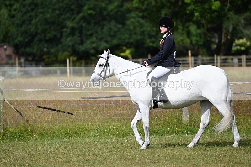 WJ6_8494 - Class 9 Tack & Turned out
