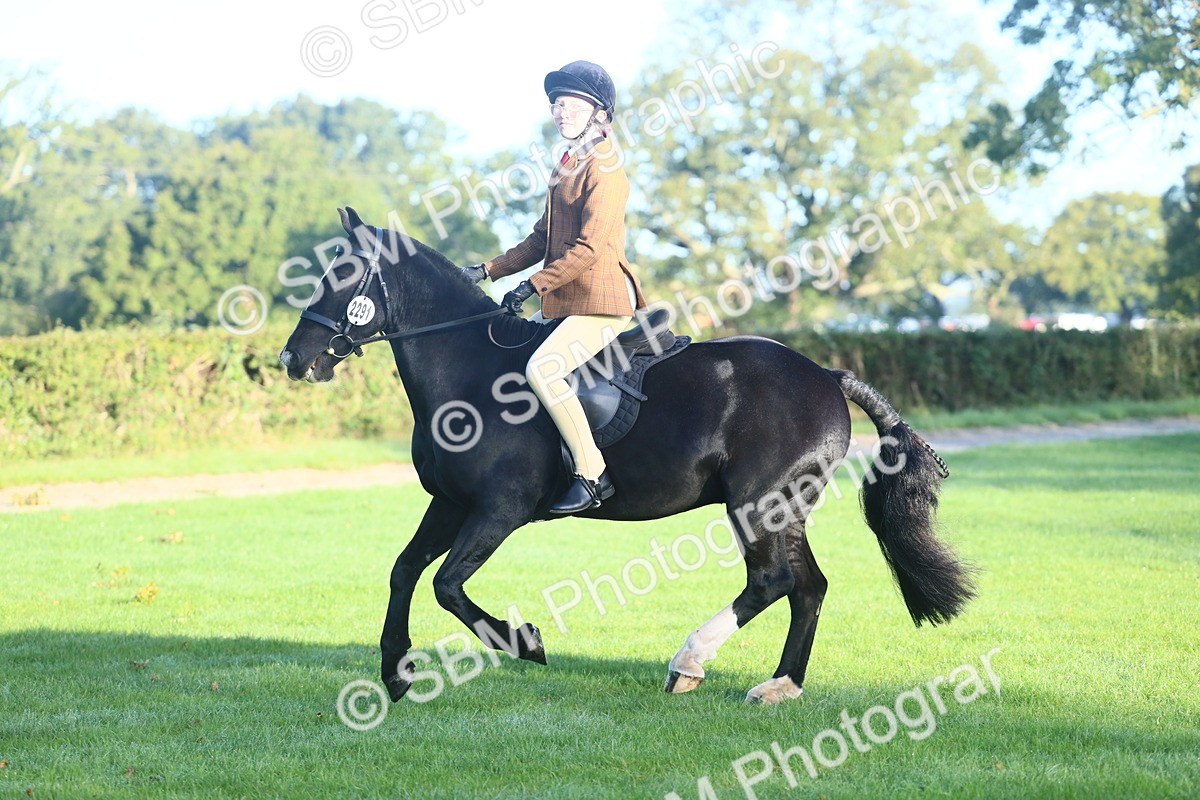 SBM_31945 - S28 - Nursery Stakes Working Hunter Pony