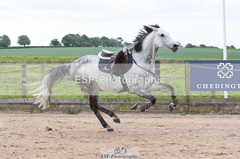 250525-111056-07737 - Cla 27 A&B 1.05 & 1.10m Snr Gran Prix