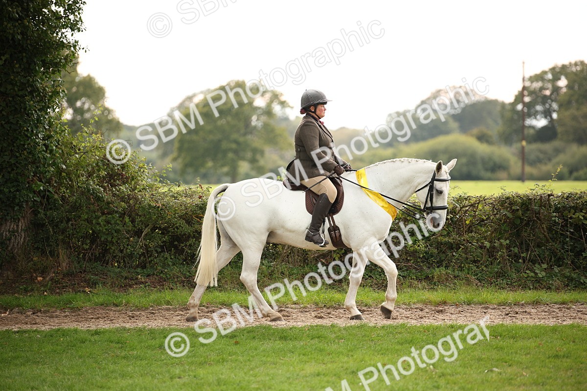 SBM_73611 - Ridden Horse Supreme Championship