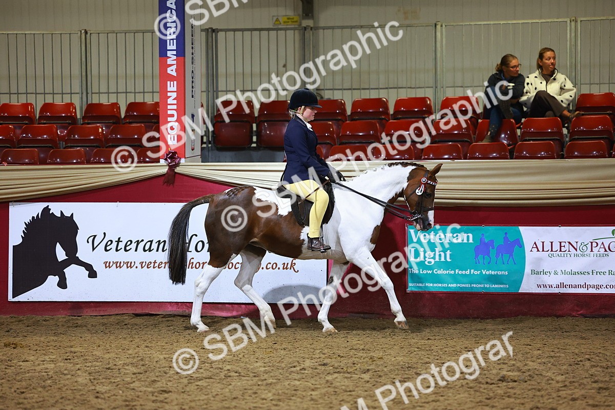 SBM_15489 - Class R - Veteran Champ