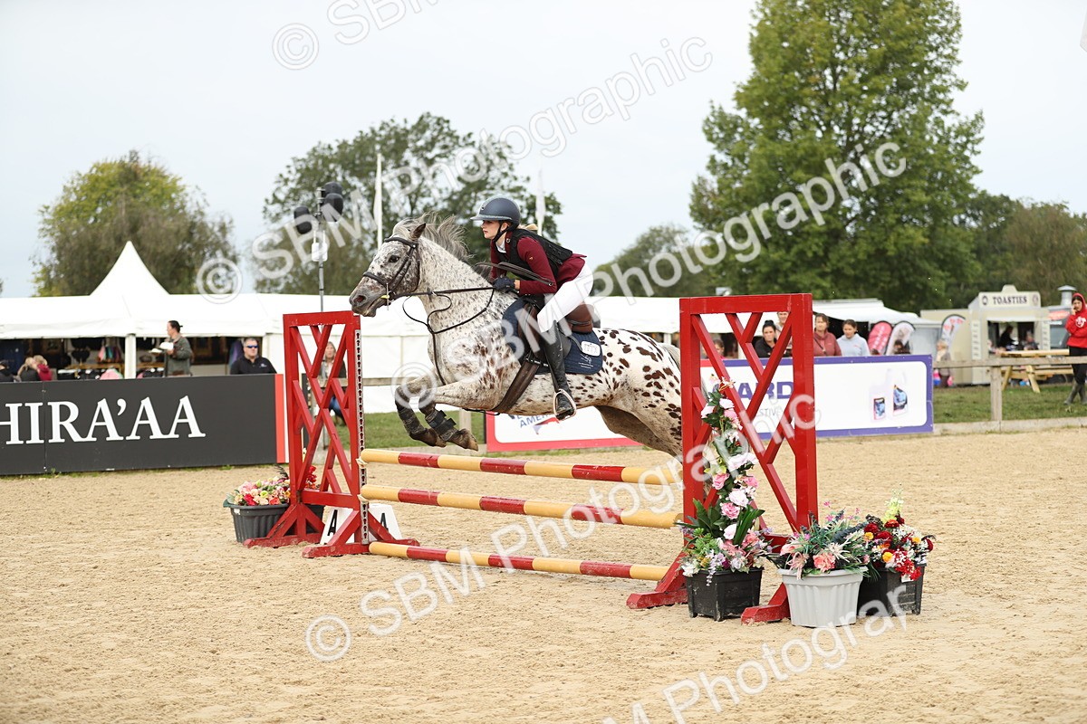 SBM_58557 - J25 - Junior Horse 80cm Championship