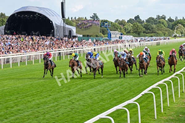 260725-Race 7-Chesneys Charm-0887 - Race 7 5.00pm Sky Bet Extra Places Every Day Handicap