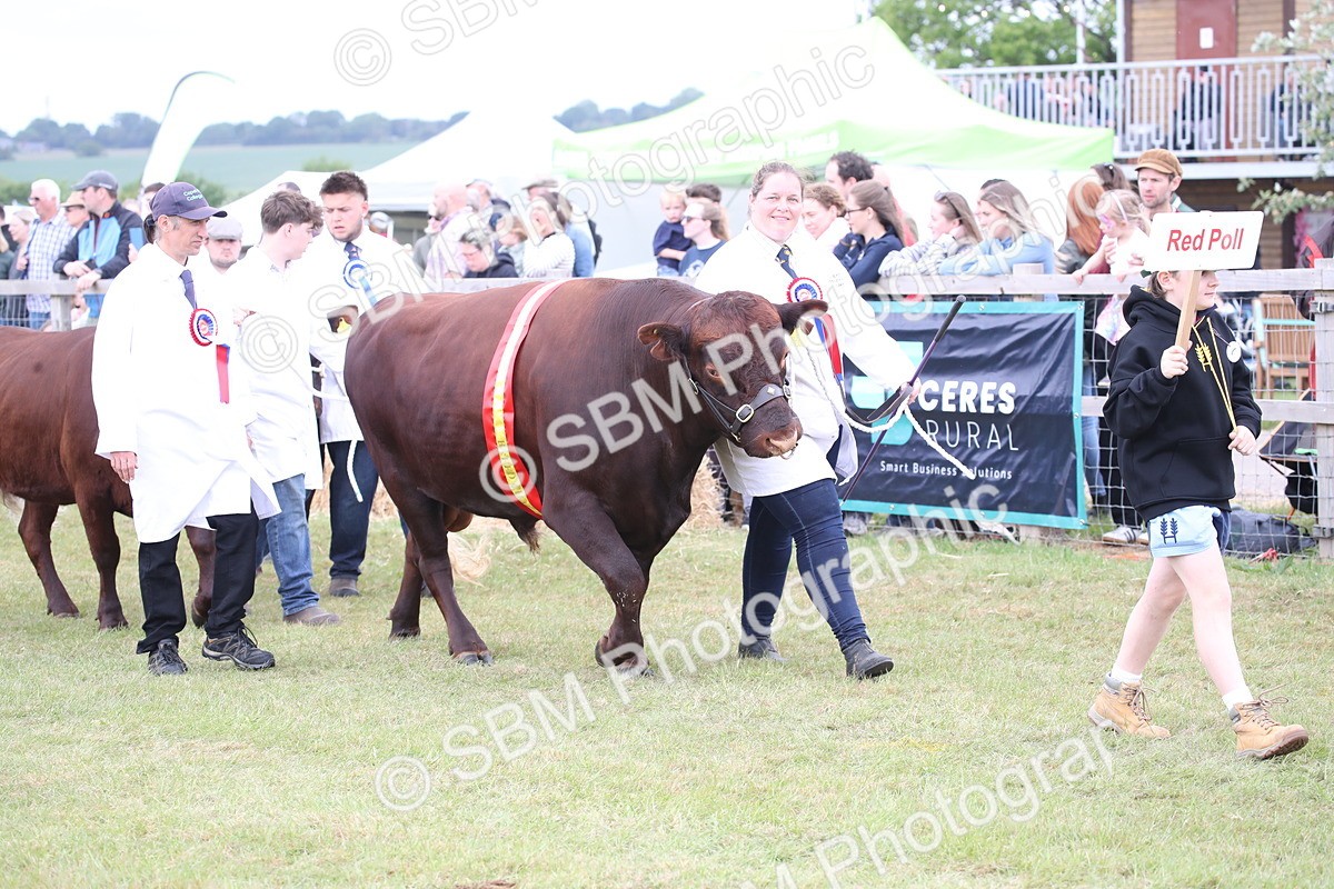 SBM_07829 - Grand Parade